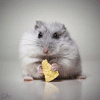 Portrait de WinfredIndex